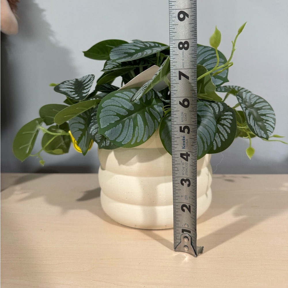 Faux prayer plant / faux plants / faux floral / home accents